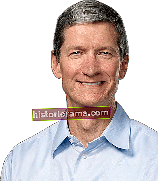 tim cook ceo