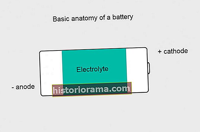 anatomie baterie