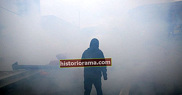 Tårgas: Behandling, tip og praktiske råd til demonstranter