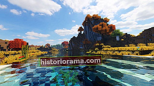 Minecraft screenshot af vand og kyst