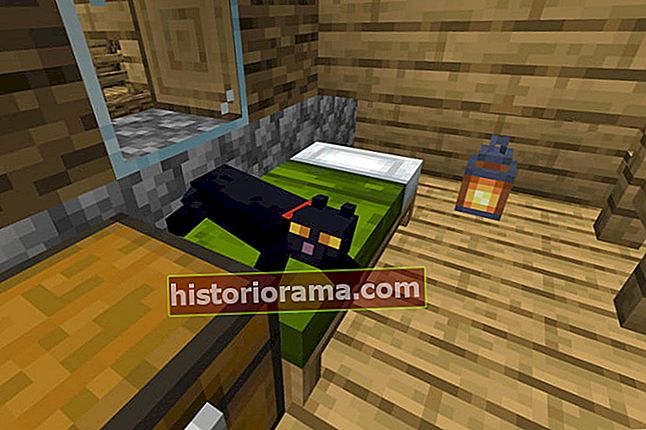 Kat liggende på sengen i Minecraft