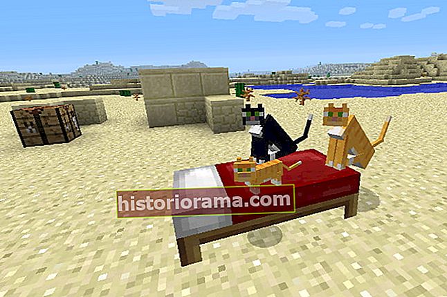 Katte sidder på en seng i Minecraft