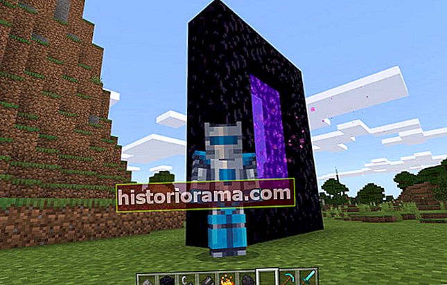 Minecraft Nether Portal Pose