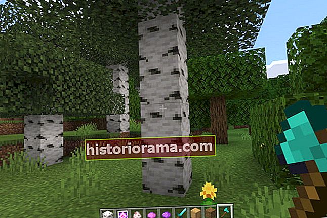 Minecraft træer