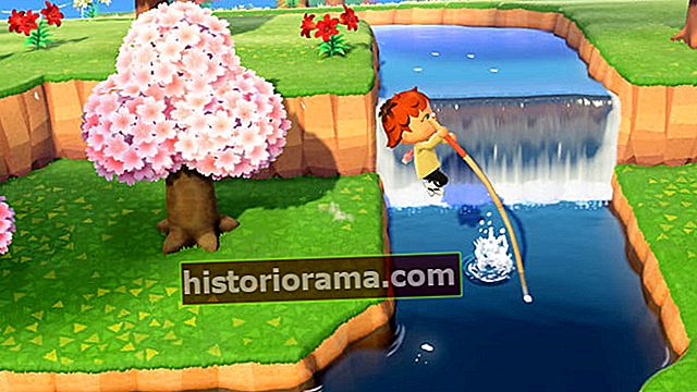 Animal Crossing Vaulting Pole odemknout