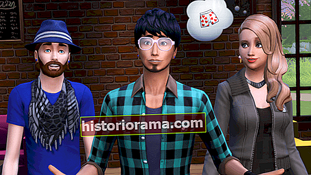 Το στιγμιότυπο οθόνης The Sims 4 10
