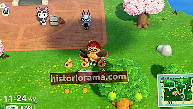 Animal Crossing penge rock metode