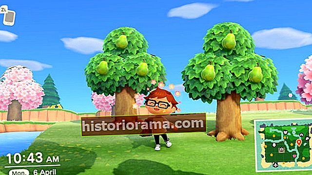 Animal Crossing ikke-hjemmehørende frugt