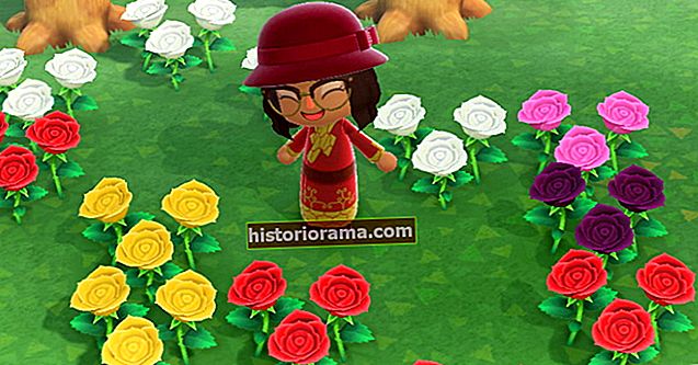 Jak křížit květiny ve hře Animal Crossing: New Horizons