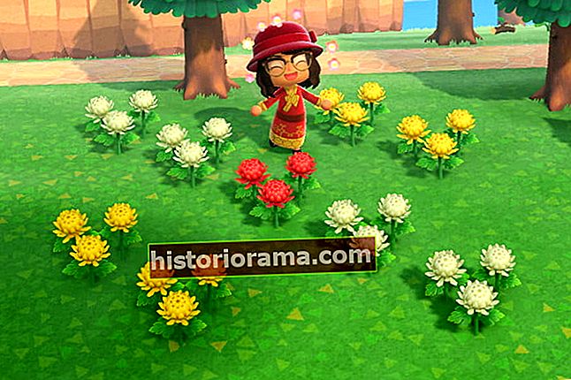 Animal Crossing New Horizons Hybrid Flowers