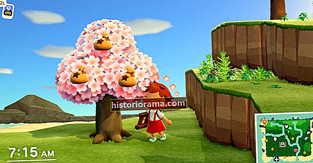 Як посадити грошове дерево в Animal Crossing: New Horizons