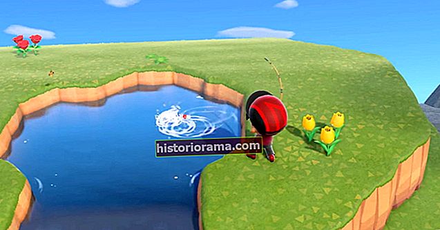 Πώς να ψαρεύετε στο Animal Crossing: New Horizons