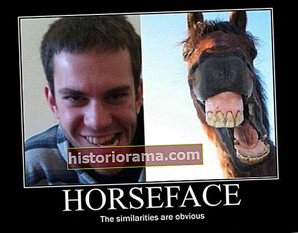 Horseface 3