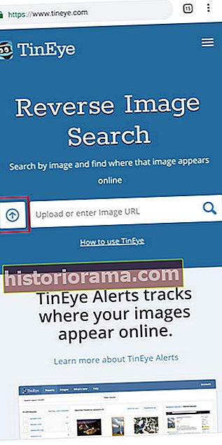 Зворотний пошук зображень за допомогою Tineye.com