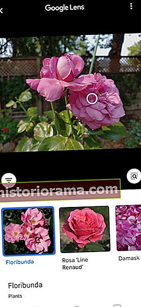 jak provádět zpětné vyhledávání obrázků v systému Android ios lens2