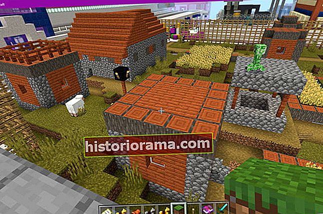 Minecraft Savanna Village