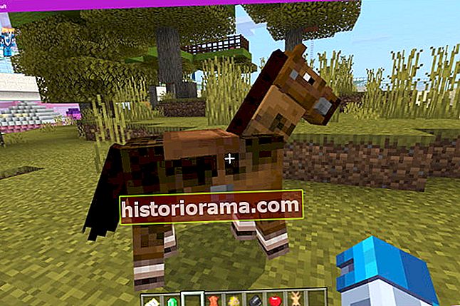 Minecraft hest med sadel