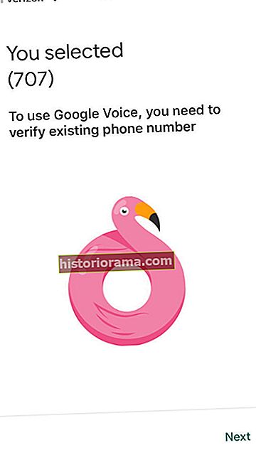 jak nastavit Google Voice GV6