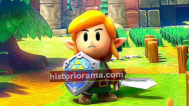 Linkhelt skudt | The Legend of Zelda: Links Awakening-gennemgang