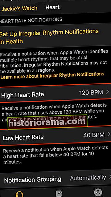 jak používat apple hodinky fitness funkce heart22