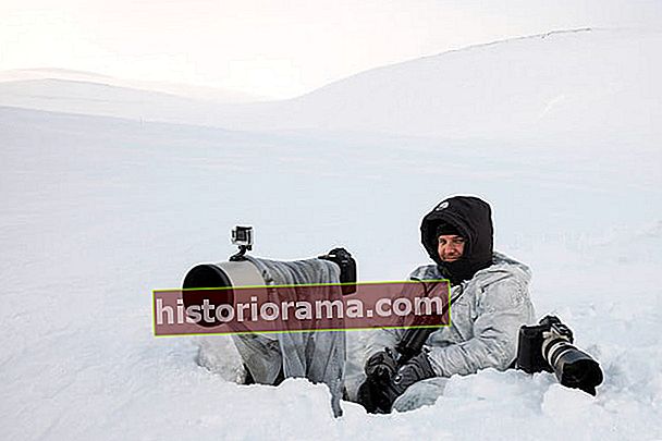jak fotografovat Arktidu s Joshua Holko rozhovor Arcticfoxiceland 3448 upravit