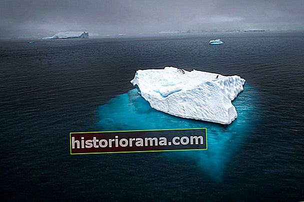 jak fotografovat Arktidu s rozhovorem Joshua Holka 20111205 74x4214 dokončeno