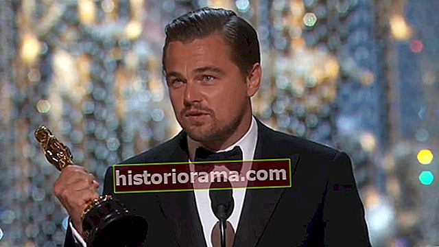 dicaprio oscars twitter rekord Leonardo vinder 2016 bedste skuespiller Oscar