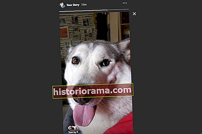 Historier på Instagram-webstedet
