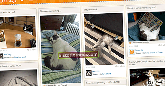 Izpustite svoje prijatelje mačke na Catmoji, družabno omrežje samo za mačje slike