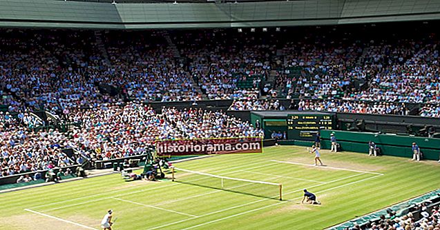 Tennisfans, Twitters live streamede Wimbledon-godbidder starter mandag