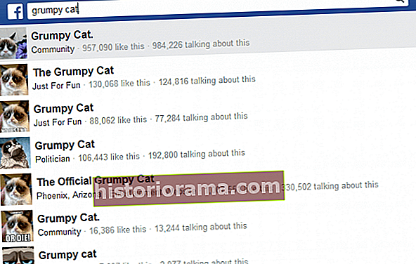 facebook graf søgning grumpy cat