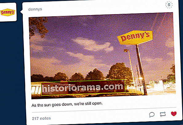 tumblr in stream ads with dennys