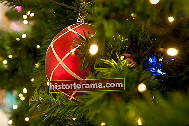 recyklujte svůj vánoční stromeček